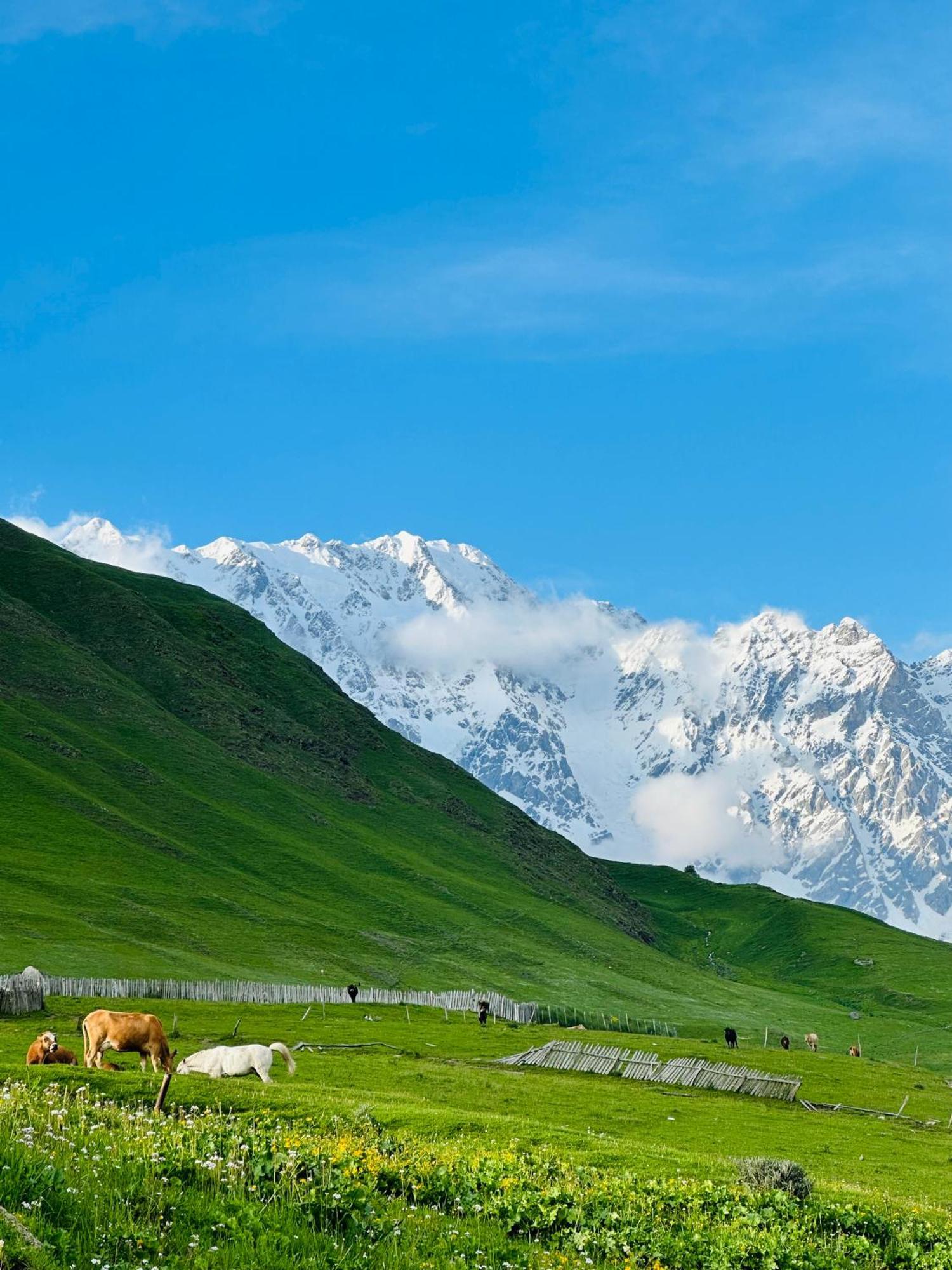 Guesthouse Divo Hut Ushguli Dış mekan fotoğraf