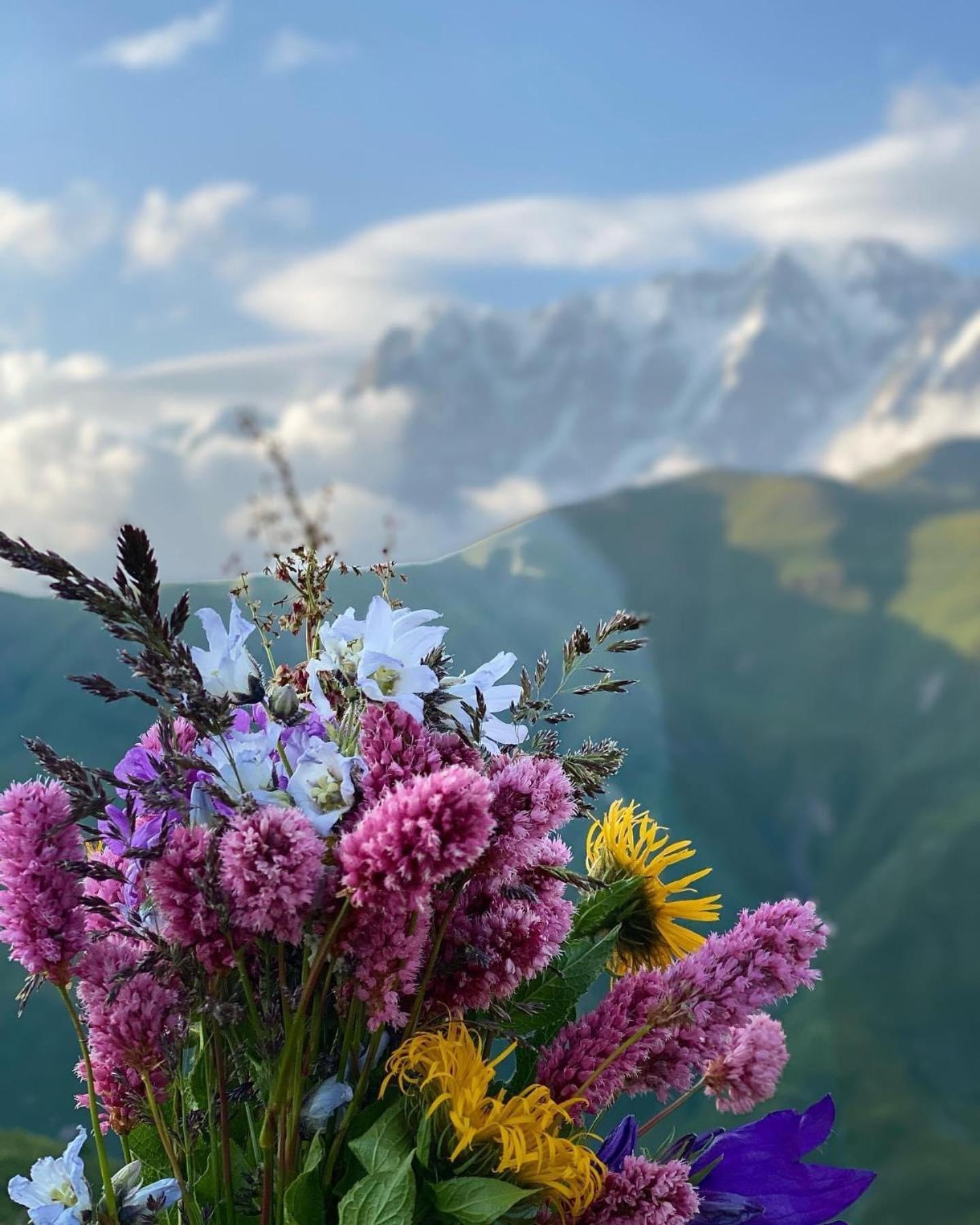 Guesthouse Divo Hut Ushguli Dış mekan fotoğraf